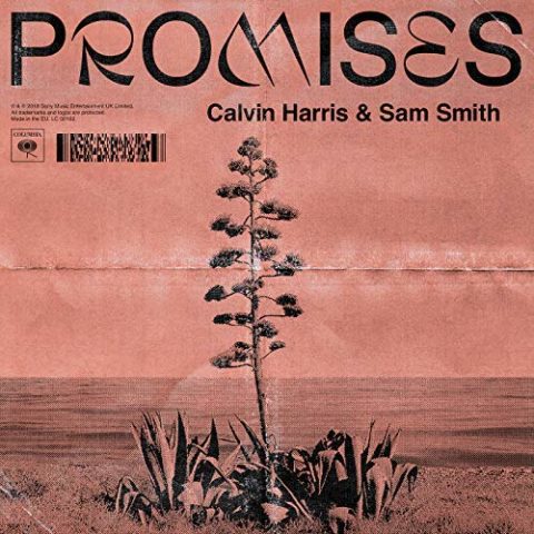 Promises - Calvin Harris Sam Smith cover