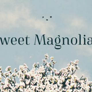 Il colore delle magnolie - Canzoni Colonna Sonora Serie