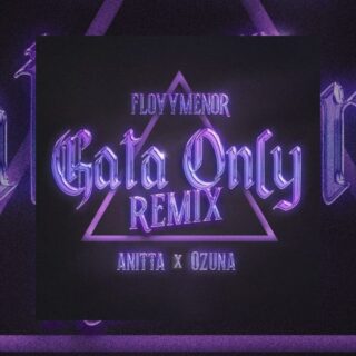 FloyyMenor, Anitta, Ozuna - Gata Only Remix - Testo Traduzione Significato