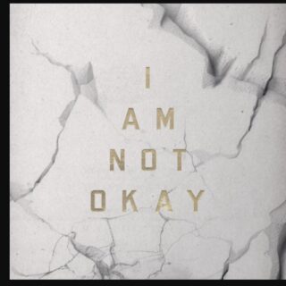 Jelly Roll - I Am Not Okay - Testo Traduzione e Significato