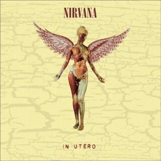 Nirvana - Heart-Shaped Box - Testo Traduzione Significato